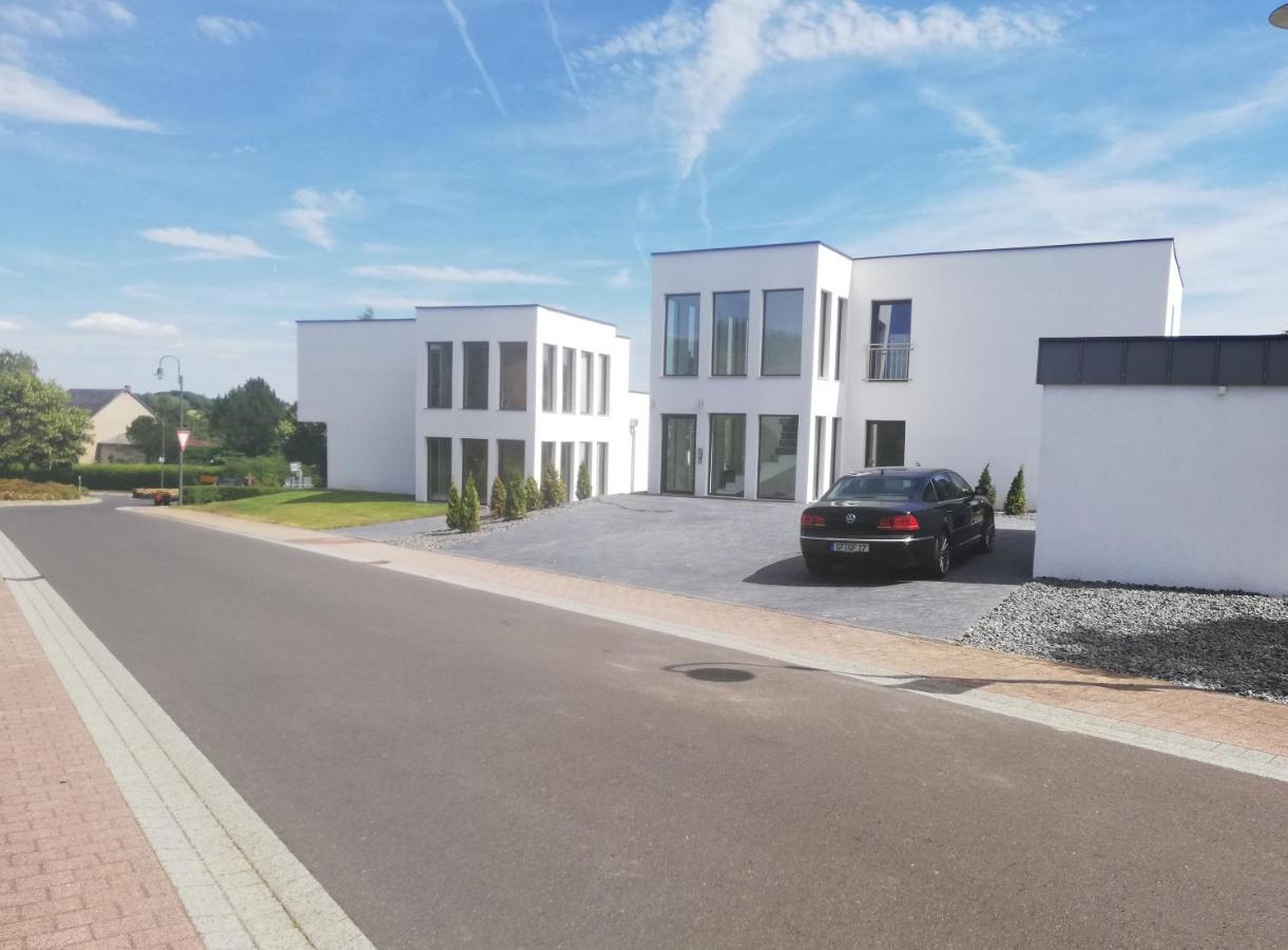 Eifel24, Neues Und Barrierefreies Appartement Mit Terrasse Schwirzheim Exteriér fotografie